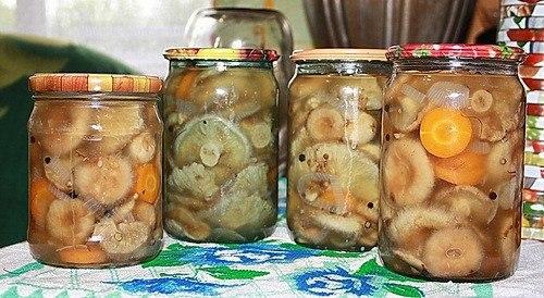 Маринованные волнушки.  На 2 литровых банки: